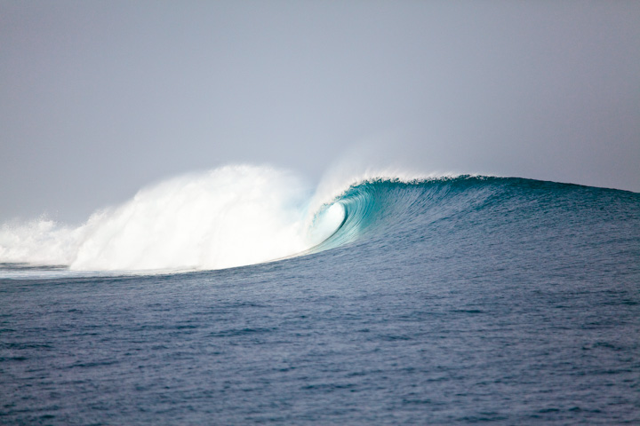 Bengkulu / Enggano / South Sumatra / West Java